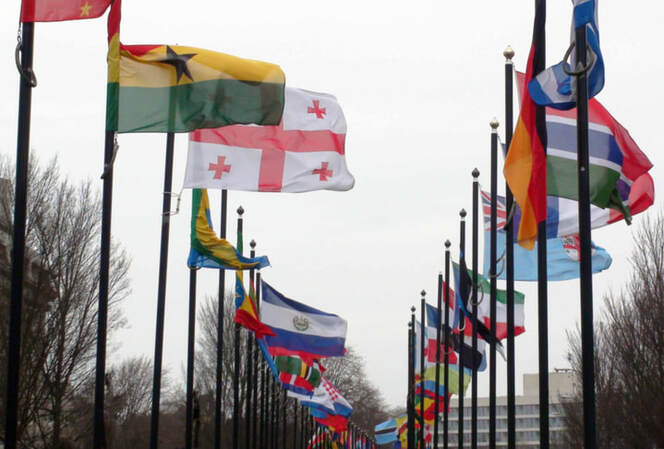 Picture international flags flown
